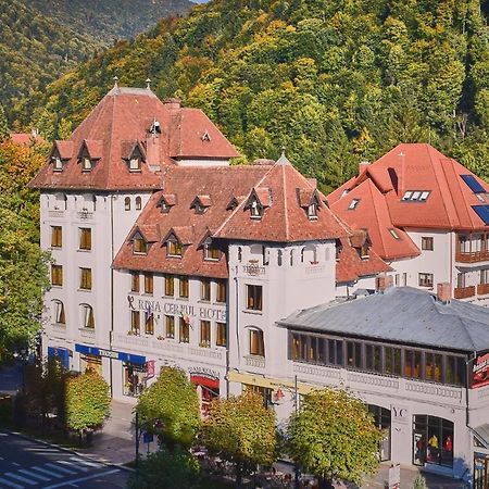 Hotel Rina Cerbul Sinaia Eksteriør billede