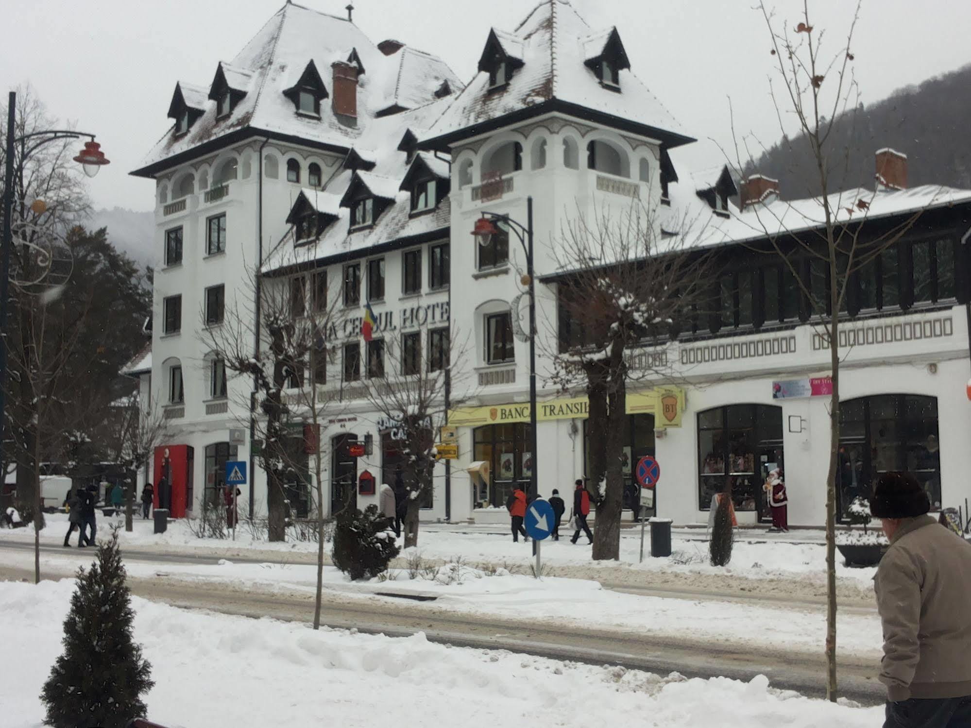 Hotel Rina Cerbul Sinaia Eksteriør billede